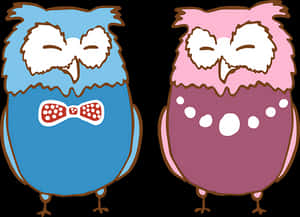 Cartoon Owlsin Bowties PNG image with transparent background