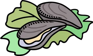 Cartoon Oyster Illustration PNG Image