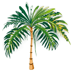 Cartoon Palm Leaves PNG 05252024 PNG image with transparent background