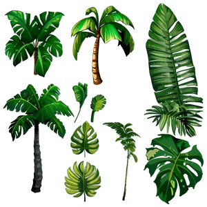 Cartoon Palm Leaves PNG 29 PNG image with transparent background