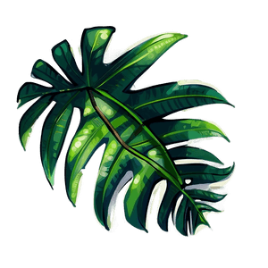 Cartoon Palm Leaves PNG cyk PNG image with transparent background