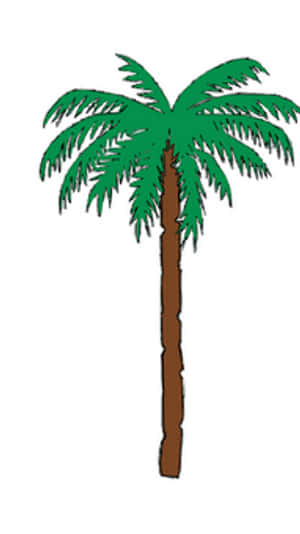 Cartoon Palm Tree Illustration PNG with transparent background