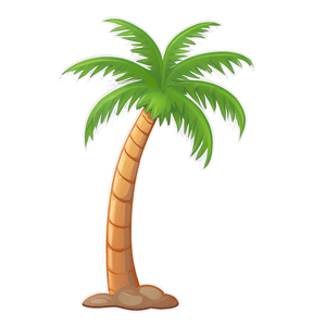 Cartoon Palm Tree Illustration PNG 14 PNG