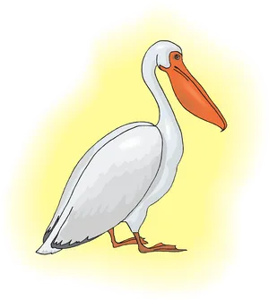 Cartoon Pelican Illustration PNG Image