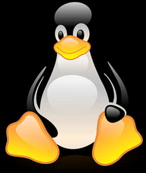 Cartoon Penguin Graphic PNG with transparent background