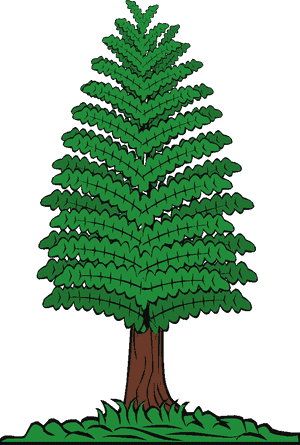 Cartoon Pine Tree Illustration PNG