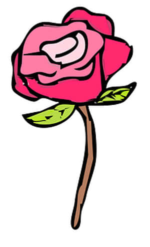 Cartoon Pink Rose Illustration PNG with transparent background