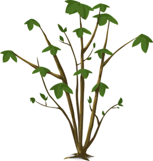 Cartoon Plant Illustration PNG Image