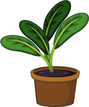 Cartoon Potted Plant Illustration PNG Image