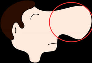 Cartoon Nose Profile Clip Art Clipart - Nose Clip Art, HD Png Download PNG image with transparent background