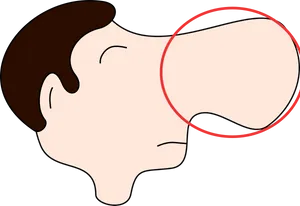 Cartoon Profile Nose Circle Highlight PNG Image