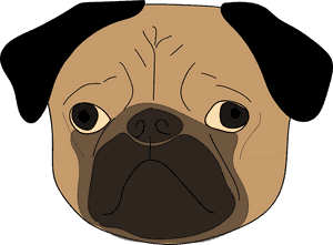 Young Pug Puppie - Pug, HD Png Download PNG image with transparent background