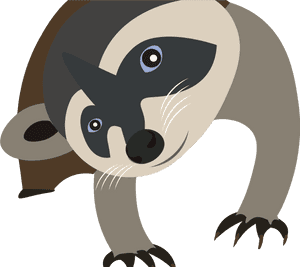 Racon - Cartoon, HD Png Download PNG image with transparent background