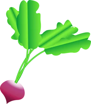 Cartoon Radish Illustration PNG Image