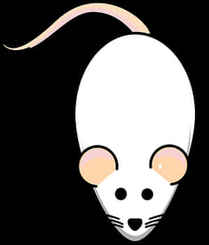 Cartoon Rat Head Vector PNG image with transparent background