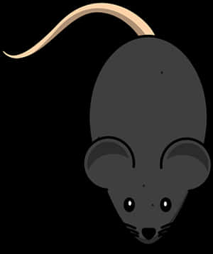 Cartoon Rat Top View Illustration PNG image with transparent background