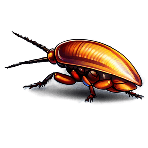 Cartoon Roach PNG 05242024 PNG