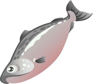 Salmon Fish Clip Art - Fish In The Market Clipart, HD Png Download PNG with transparent background