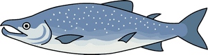 Salmon Fish Clipart, HD Png Download PNG image with transparent background