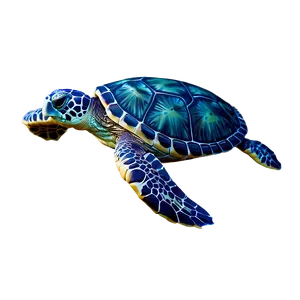 Cartoon Sea Turtle Character Png 9 PNG Image