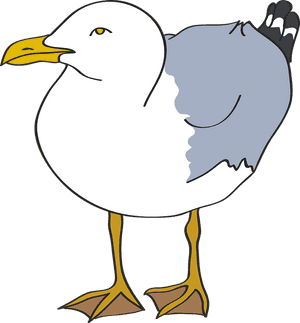 Seagull, Bird, Beach, Sea, Laridae, Coast, Vector - Clip Art Seagull, HD Png Download PNG image with transparent background