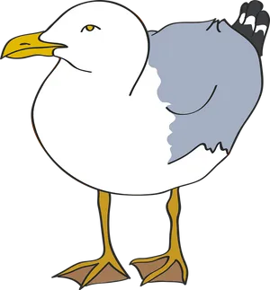 Cartoon Seagull Standing Vector PNG Image