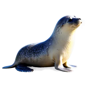 Cartoon Seal Png 05242024 PNG Image