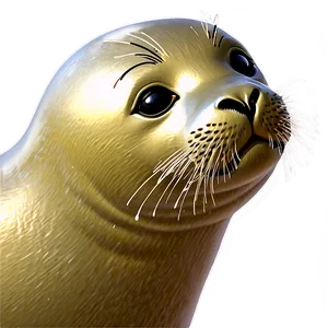 Cartoon Seal Png Qwk54 PNG Image