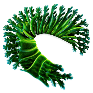 Cartoon Seaweed Image PNG yhk48 PNG image with transparent background