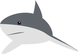 Cartoon Shark Illustration PNG Image