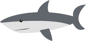 Cartoon Shark Side View PNG Image