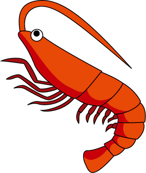 Shrimps Png Clipart Image - Clip Art Picture Of Shrimp, Transparent Png PNG with transparent background