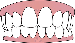 Free Vector Download Png Tooth - Teeth Svg, Transparent Png PNG image with transparent background