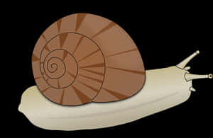 Cartoon Snail Illustration PNG
