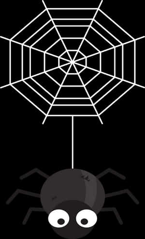 Cartoon Spiderand Web Graphic PNG image with transparent background