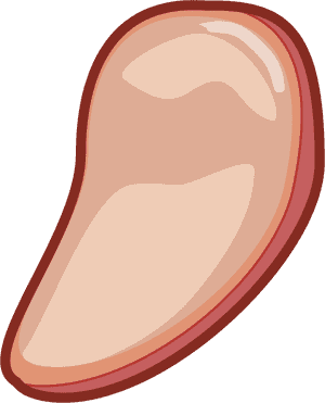 Transparent Meat Clipart Png - Sandwich Meat Clipart, Png Download PNG image with transparent background