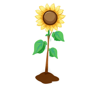 Cartoon Sunflower Character PNG 05252024 PNG