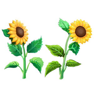 Cartoon Sunflower PNG 05032024 PNG image with transparent background