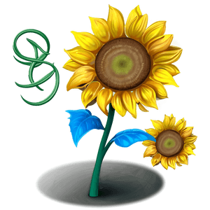 Cartoon Sunflower PNG 73 PNG image with transparent background