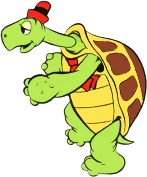 Cartoon Tortoise Wearing Hat PNG Image