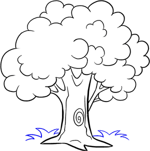 How To Draw Trees Drawing Cartoon Sketch - Cartoon Sketch Tree Drawing, HD Png Download PNG image with transparent background