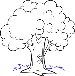 Cartoon Tree Line Drawing PNG Image