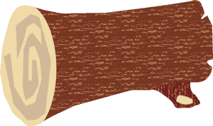 Cartoon Tree Log Cross Section PNG with transparent background