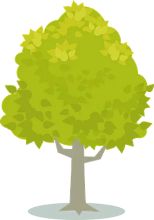 Cartoon Tree Vector Illustration PNG Image