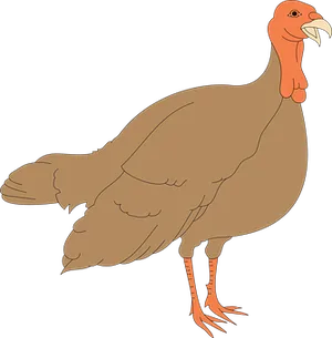 Cartoon Turkey Illustration PNG Image