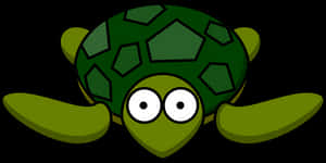 Cartoon Turtle Graphic PNG image with transparent background