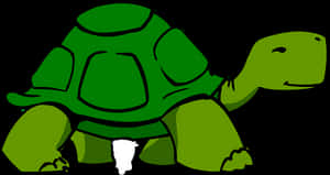 Cartoon_ Turtle_ Graphic PNG image with transparent background