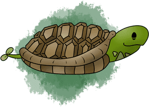 Cartoon Turtleon Green Background.png PNG image with transparent background