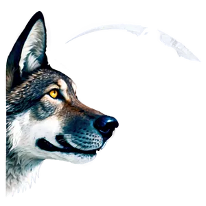 Cartoon Wolf Face Png Dyh1 PNG Image