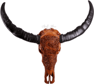 Carved Buffalo Skull - Water Buffalo, HD Png Download PNG image with transparent background